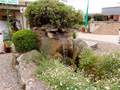 Water Feature